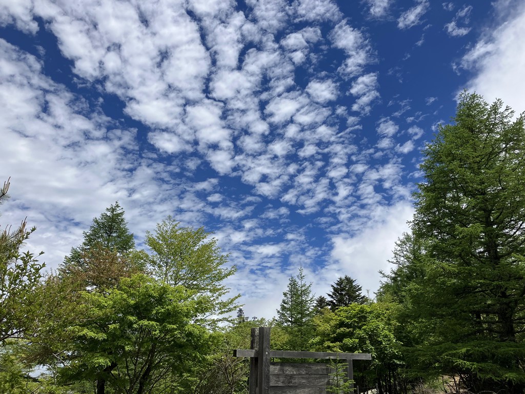 初夏の空