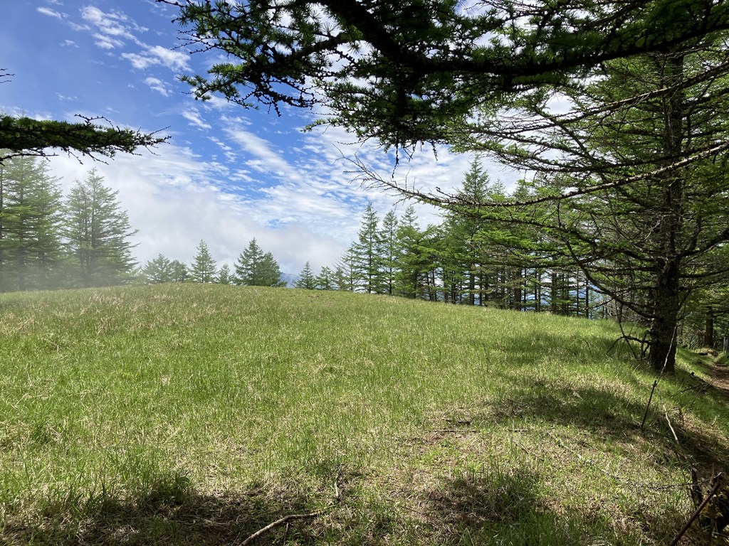 毛無山
