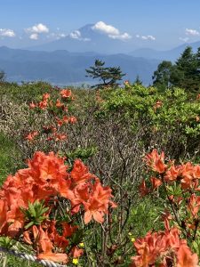 富士山とレンゲツツジ
