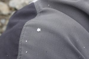 8月の山でも雪の結晶