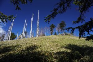 牛奥ノ雁ヶ原摺山の山頂付近
