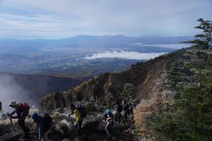 トーミの頭近く