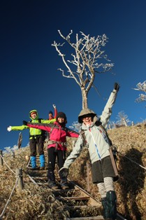 桜霧氷みられたぁー!