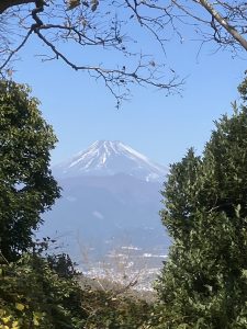 富士山見えます