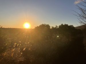 大島から登る太陽