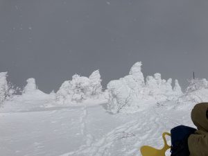 蔵王の樹氷